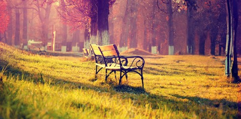 官方渠道正版的手机号轰在线网页版入口